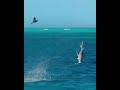 هجوم كاسح