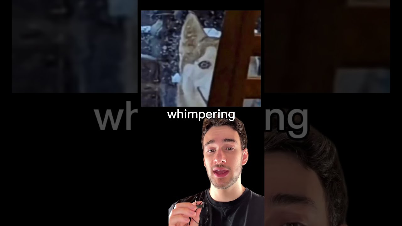 The Smiling Dog Creepy Story