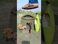 Creative amazing home 🏡 and Deer 🦌 videography idea #short #crazy #trending #reels