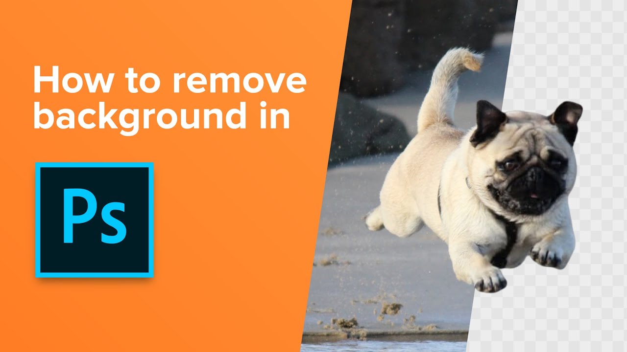 How to remove backgrounds in Photoshop | Blog | Sticker Mule Canada