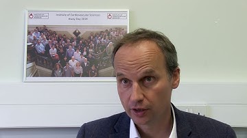 Insights from the Highly Cited - 3 pieces of advice for researchers to build their profile