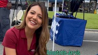 Pets we met at Gaston County s Clear the Shelters event