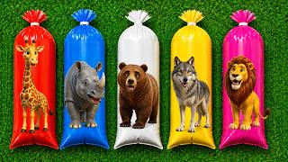 Wow animals unboxing | Giraffe, Rhino, Bear, Wolf and Lion