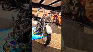 2005 Harley-Davidson Softail Deluxe Vicla 🇳🇿 | NZ Vicla Nationals