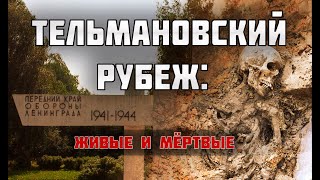 видео: Два метра фекалий над солдатской могилой. Что происходит в поселке Тельмана??? картинка: Два метра фекалий над солдатской могилой. Что происходит в поселке Тельмана???