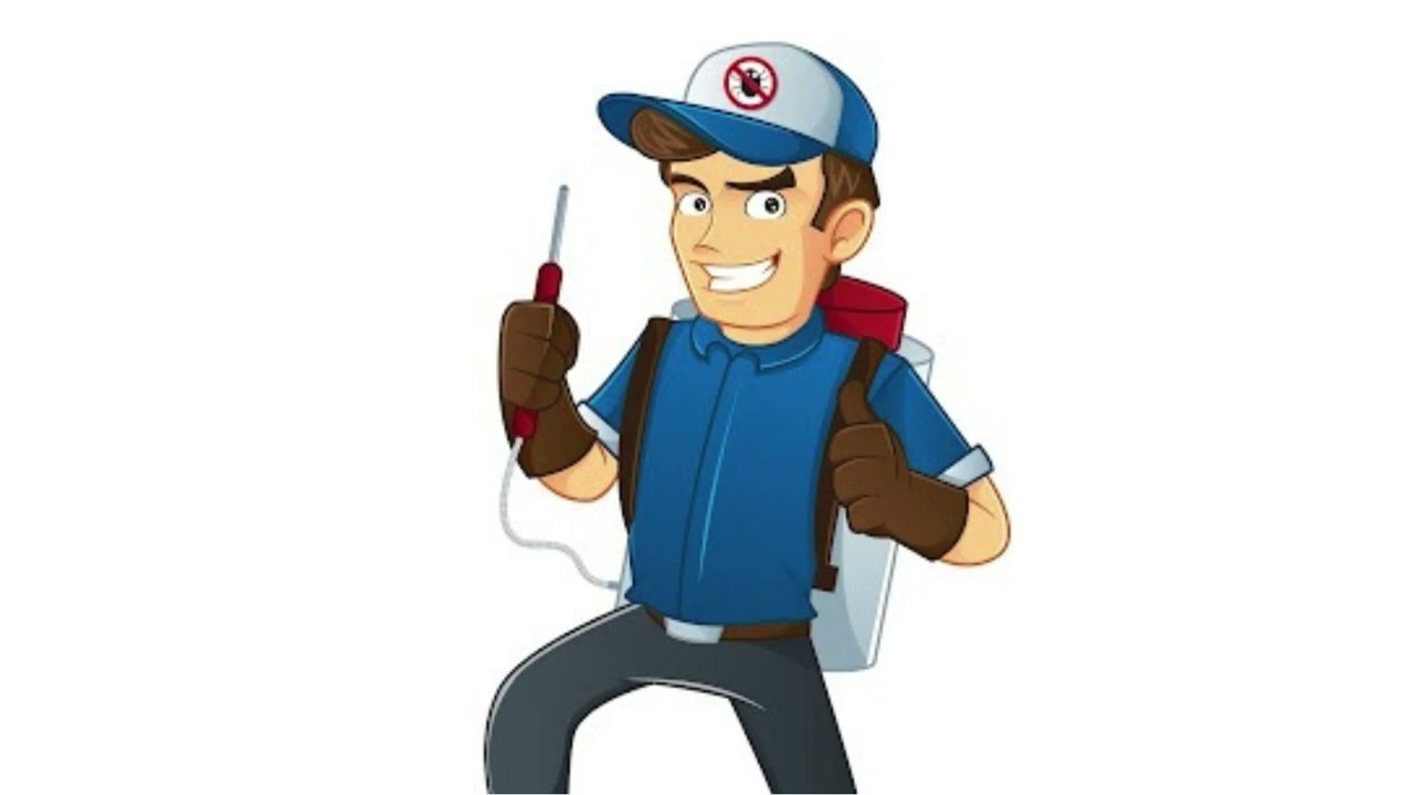 Best Idaho Pest Control Methods - Get Lost Pest Control in Caldwell