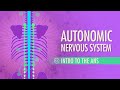 Autonomic Nervous System: Crash Course A&P #13