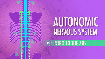 Autonomic Nervous System: Crash Course Anatomy & Physiology #13
