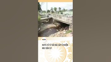 #Shorts : Ô nhiễm từ những bãi rác