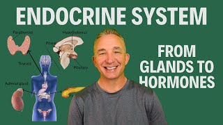 Mastering the Endocrine System: Hormones, Glands, and Homeostasis (FULL LECTURE)