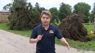 Tree in Freeport uprooted in recent overnight storms