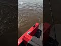 Судачок