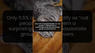 Why Cat People Make Up Just 11.5 Percent of the Population