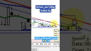 سهم العربية وبولفارا معاك من يوم ١٣ أغسطس ٢٠٢٢ .. عملت إيه ؟؟