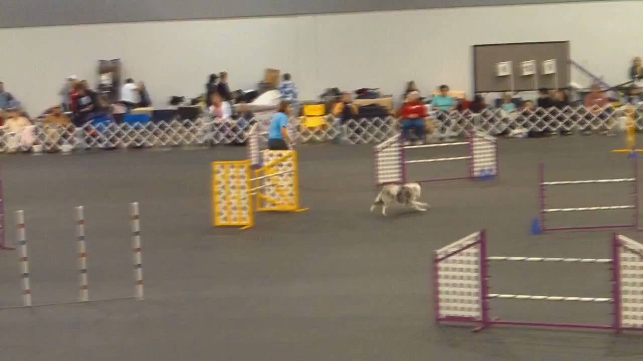 Rose City Classic Exc JWW Jester 1-17-09