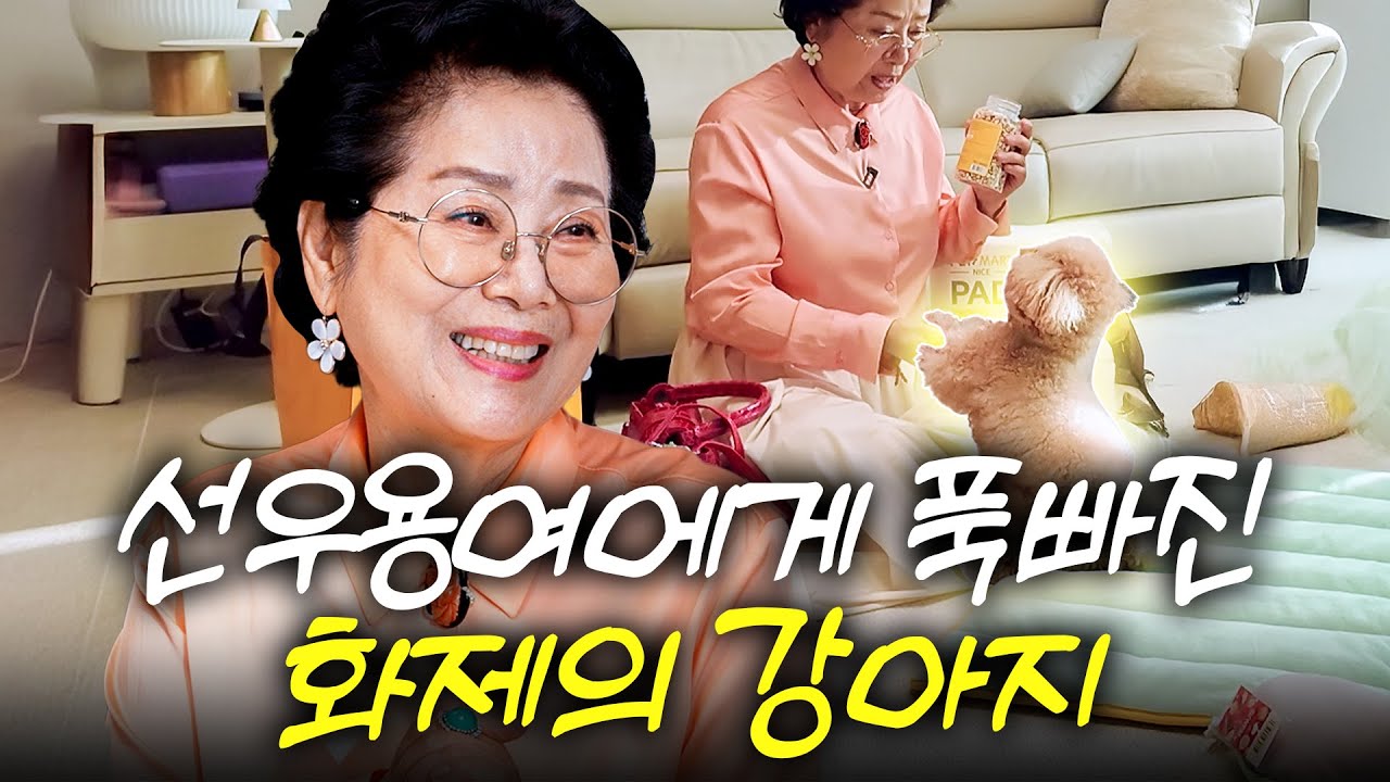 SNS화제 천재견 토리가 주인보다 선우용여 말만 듣게 된 이유는? (+훈육의 달인, 원샷한솔)