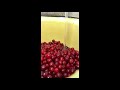 Karelian soaked lingonberry / Мочёная брусника по-карельски