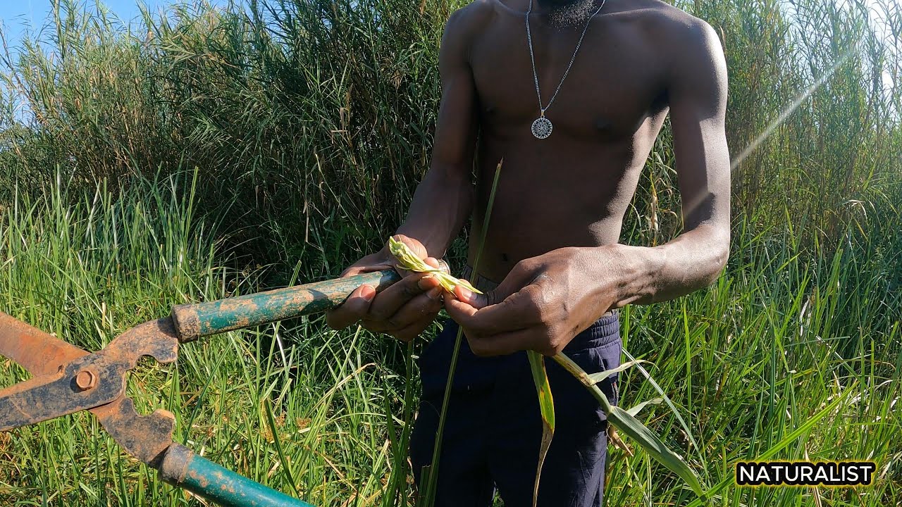 “Bamboo Crafting 101: Cutting Bamboo Clean with a Chisel”