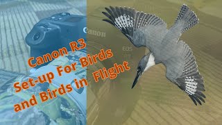 Canon R3 Set Up  Birds and Birds in Flight