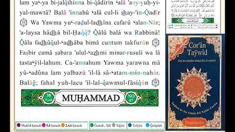 ختمة من مصحف التجويد باللغة الإسبانية الصفحة رقم 506