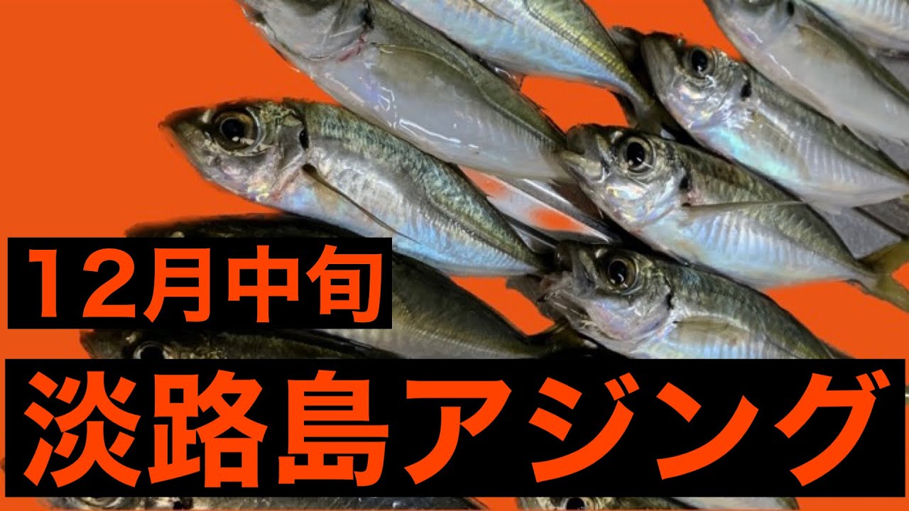 アジング 12月中旬の淡路島アジング アジング 淡路島 Youtube