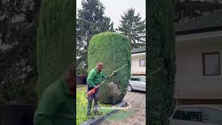Cleaning | Edging | Blowing | Landscaping | Trimming | Mowing #shorts #satsifying #gardening