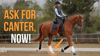 Tre Semplici Paggi Per Transizioni Al Galoppo Perfette