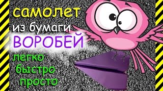 Как сделать из бумаги далеколетающий самолет ВОРОБЕЙ, легко и быстро, проще некуда - за 2 минуты Как сделать из бумаги далеколетающий самолет ВОРОБЕЙ, легко и быстро, проще некуда - за 2 минуты