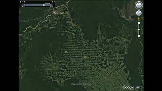 Amazon Deforestation