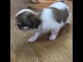 ドキドキ冒険let's go!