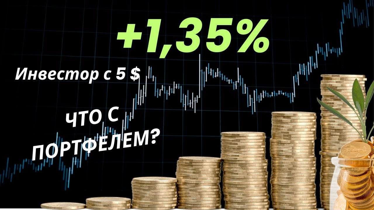 Что стало с крипто-портфелем? Покупаю по 1 монете каждую неделю