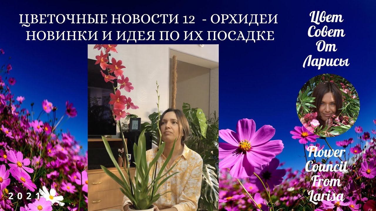 Цветочные советы от елены