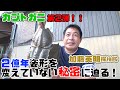 44.その生命力はエイリアン級！！２億年前から姿を変えず生き延びたカブトガニを大捜索第２弾！！！