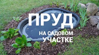 Покупки для сада Обустройство садового пруда