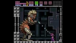 Super Metroid Mother Brain Second Form Battle (no damage)
