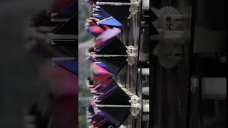 Bionic Bloom #shorts