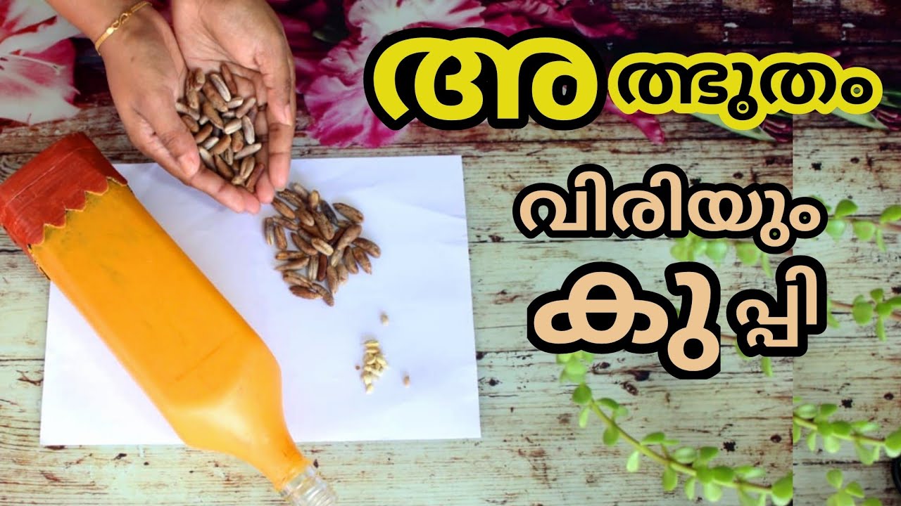 DIY Bottle art Malayalam I Dates seed craft I Best out of waste I Home