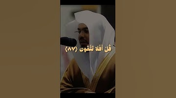 سورة المؤمنون  ياسر الدوسري حالات واتس قرآن كريم #اكسبلور #asmr #fyppppppppppppppppppppppp #foryou