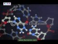 Understanding DNA Structure and Function