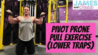 Pivot Prone Pull || Cable Machine Back Exercise || Lower Traps Exercise || Building Your Lower Traps