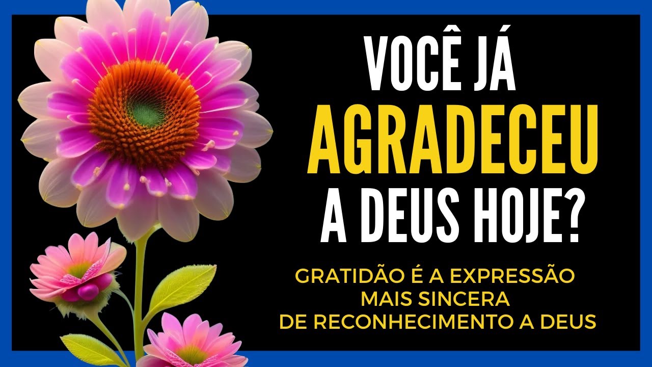 VOCÊ JÁ AGRADECEU A DEUS HOJE? | Oração de gratidão a Deus - YouTube