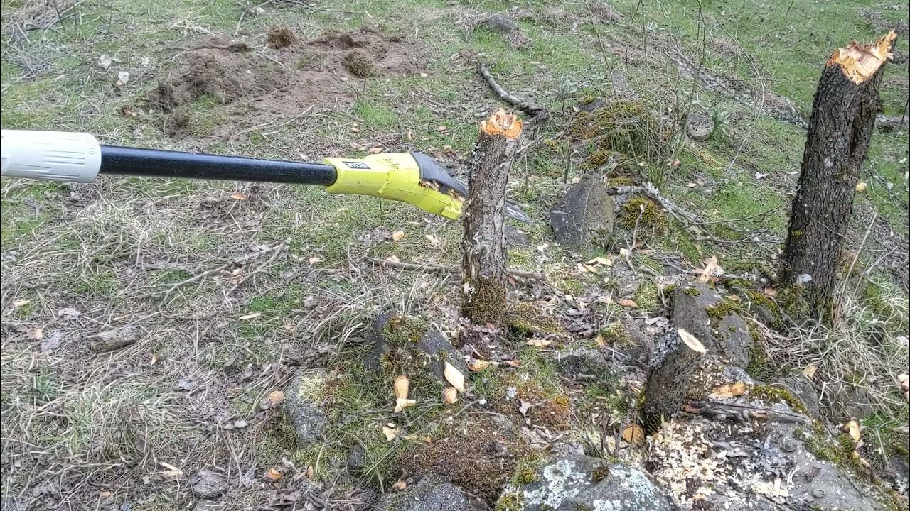 What can the Ryobi 18V Pole saw cut? Ryobi YouTube