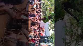 Holi Celebration At Iit Bombay,#Iitbombay ,#Holi ,#Viral