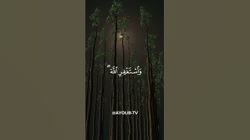 وأستغفر الله ان الله كان غفورا رحيما - سورة النساء القارئ ناصر القطامي