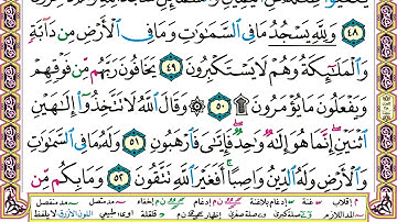 سورة النحل من 43 إلى 64