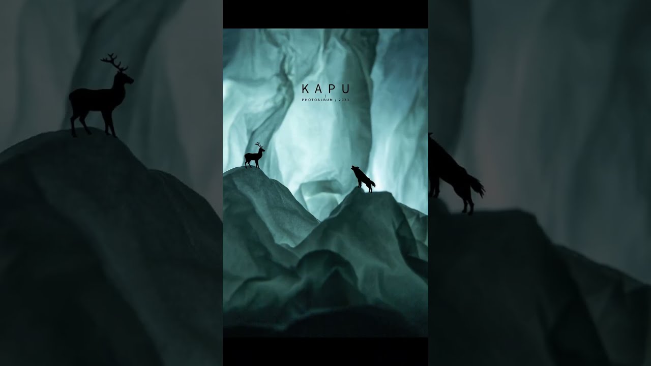 You’ve NEVER Seen These Details Before 🤯 | Macro Photography Shorts 