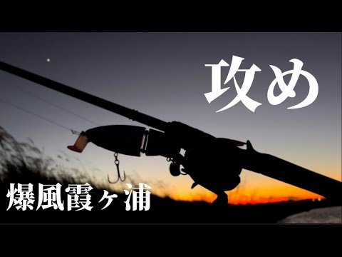 【バス釣り】寒過ぎ🥶懲りずに爆風の霞ヶ浦を攻めてきました‼️#fishing  #バス釣り  #bassfishing  #10FTU  #ビッグベイト #霞ヶ浦バス釣り#クルーバー#ジャッカル