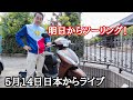 5月14日日本からライブ　