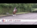 canter