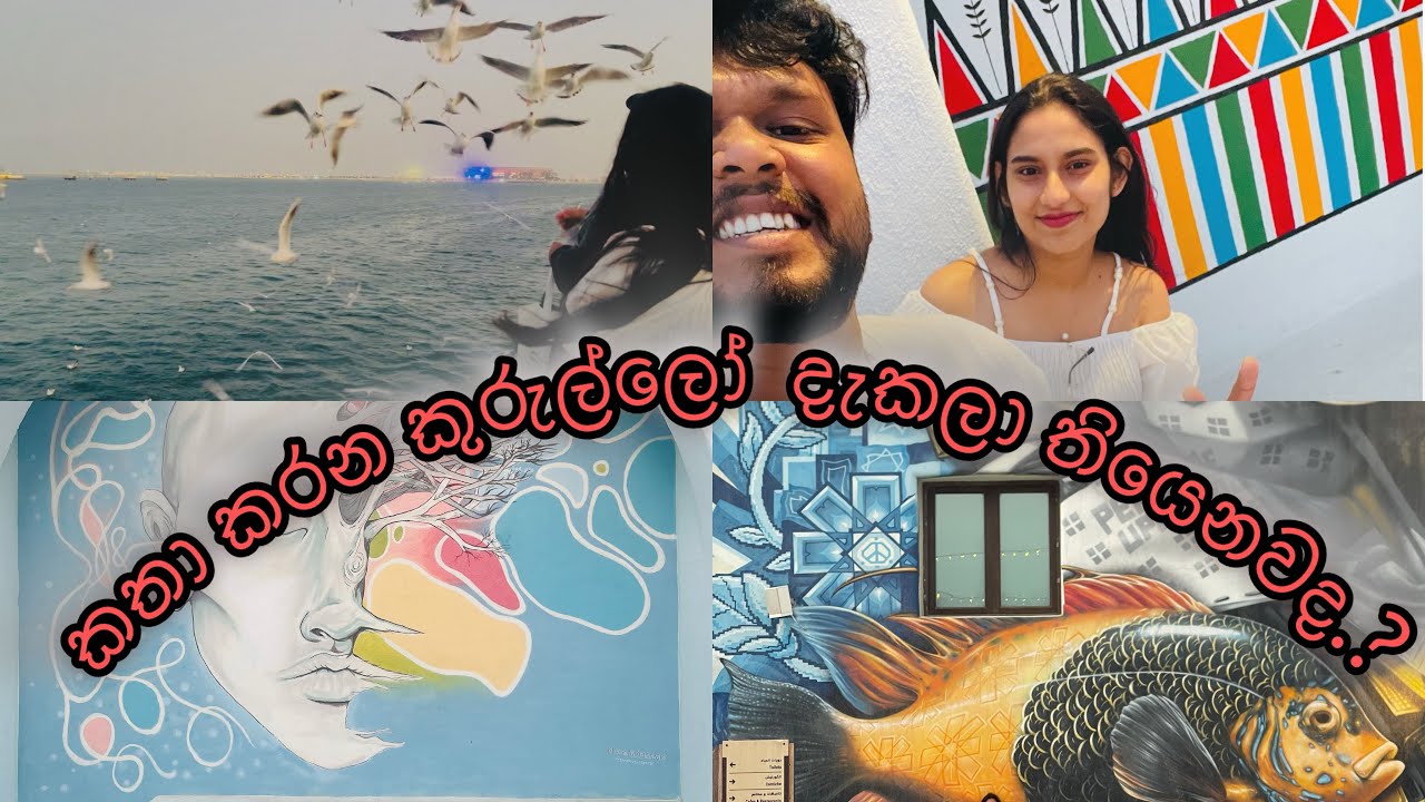 කතා කරන කුරුල්ලෝ දැකල තියෙනවද .? 👀🫣 එන්න මේ පැත්තට කතා කරන කුරුල්ලෝ බලන්න 😊😳 🕊✨| qatarlife | Happy 